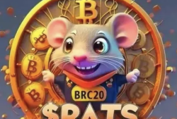 rats币有价值吗？未来潜力如何！